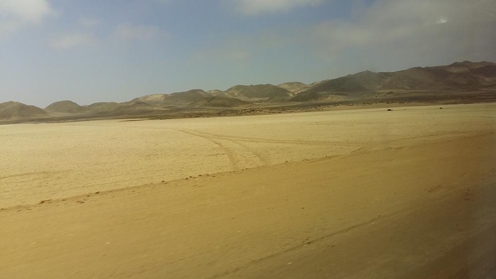 Golden dunes of Namibia